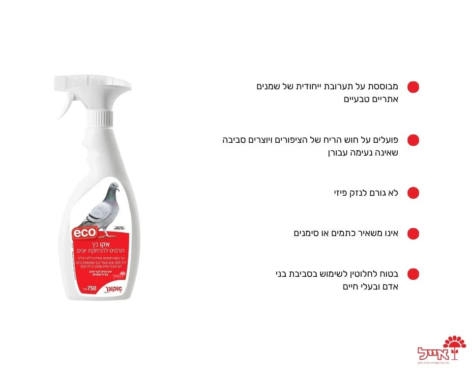 תמונה ממוזערת 2