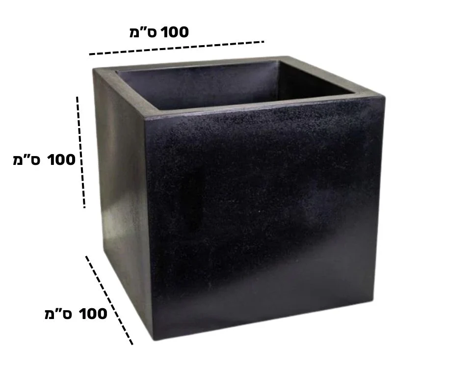 תמונה ממוזערת 2