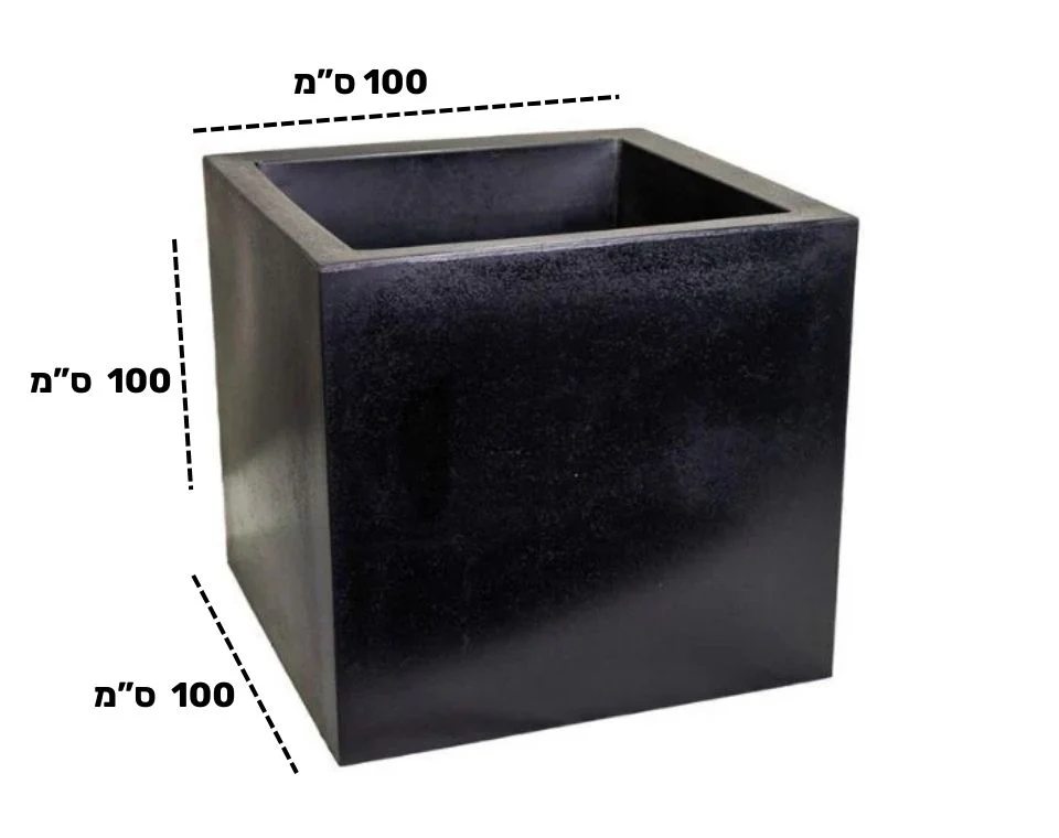 תמונה ממוזערת 2