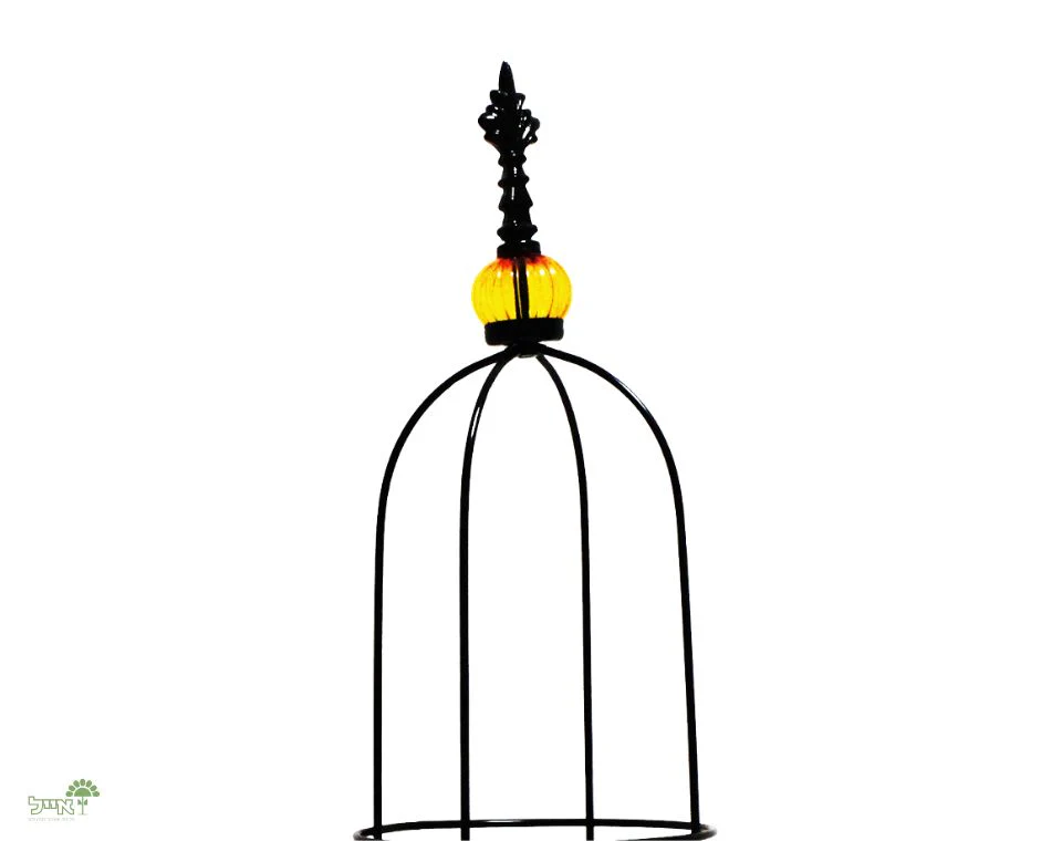 תמונה ממוזערת 2