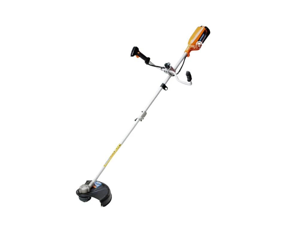 תמונה ממוזערת 1